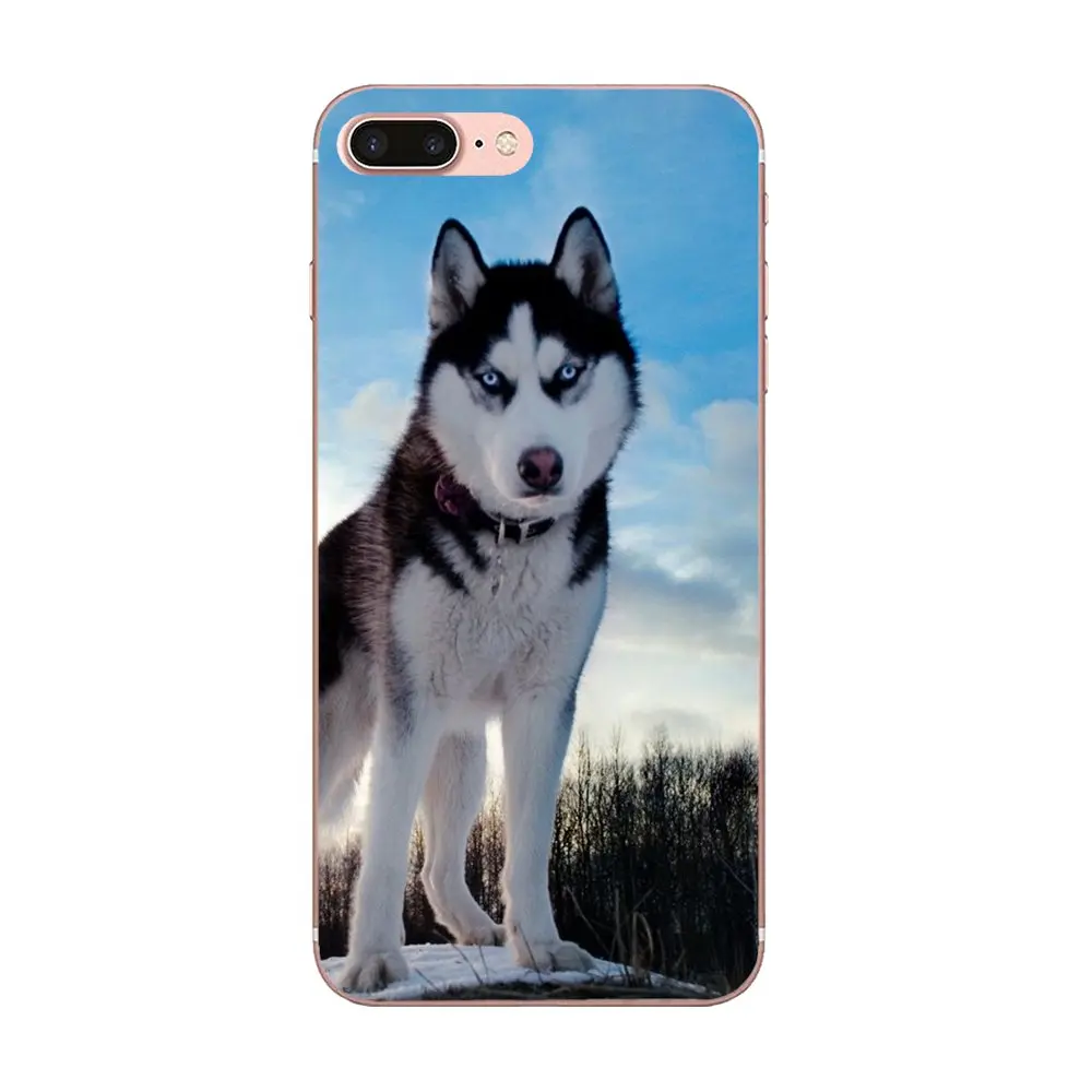 В продаже для Apple iPhone 4 4S 5 5C 5S SE SE2 6 6S 7 8 11 Plus Pro X XS Max XR Wacky Husky новый