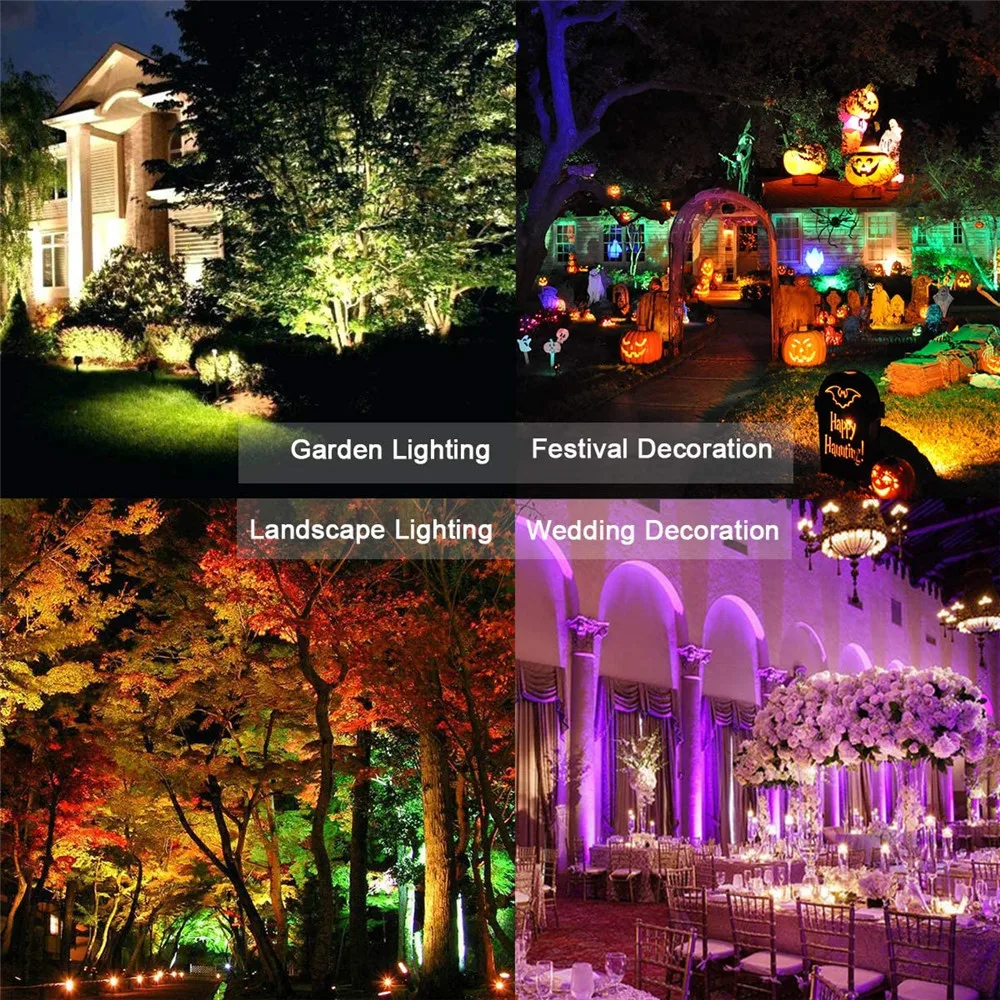 81RuI-LO9ML._AC_SL1200_