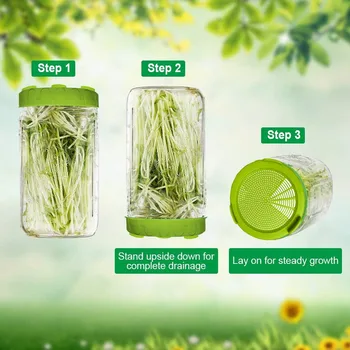 

Sprouting Lid Food Grade Mesh Sprout Cover Kit Seed Growing Germination Vegetable Silicone Sealing Ring Lid For Mason Jar