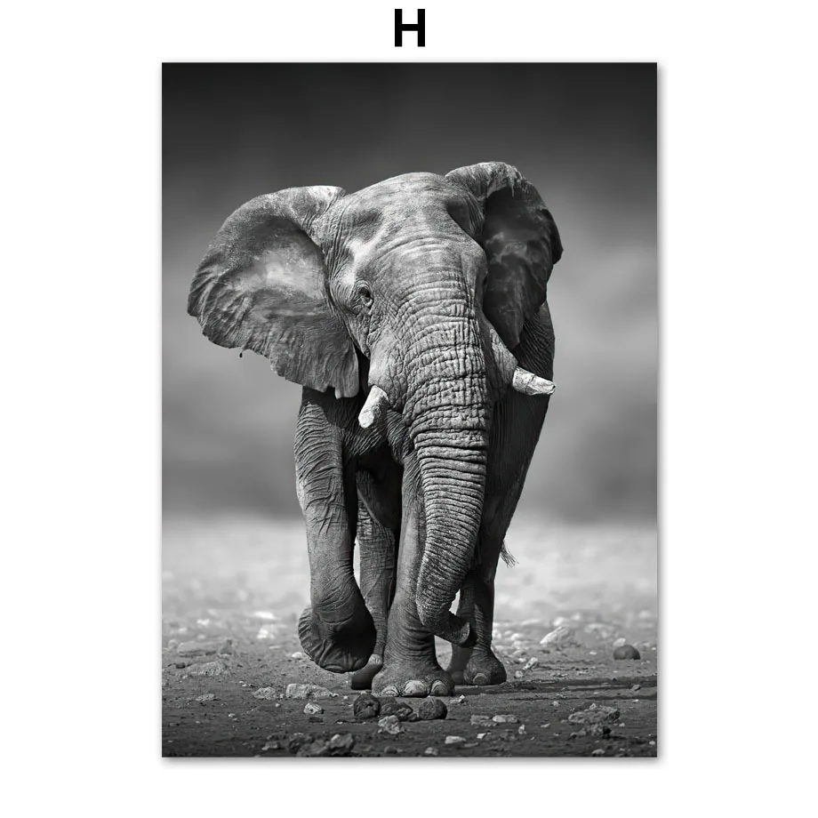 Lion-Tiger-Elephant-Nordic-Vintage-Poster-Green-plants-cactus-Wall-Art-Print-Canvas-Painting-Wall-Pictures (10)