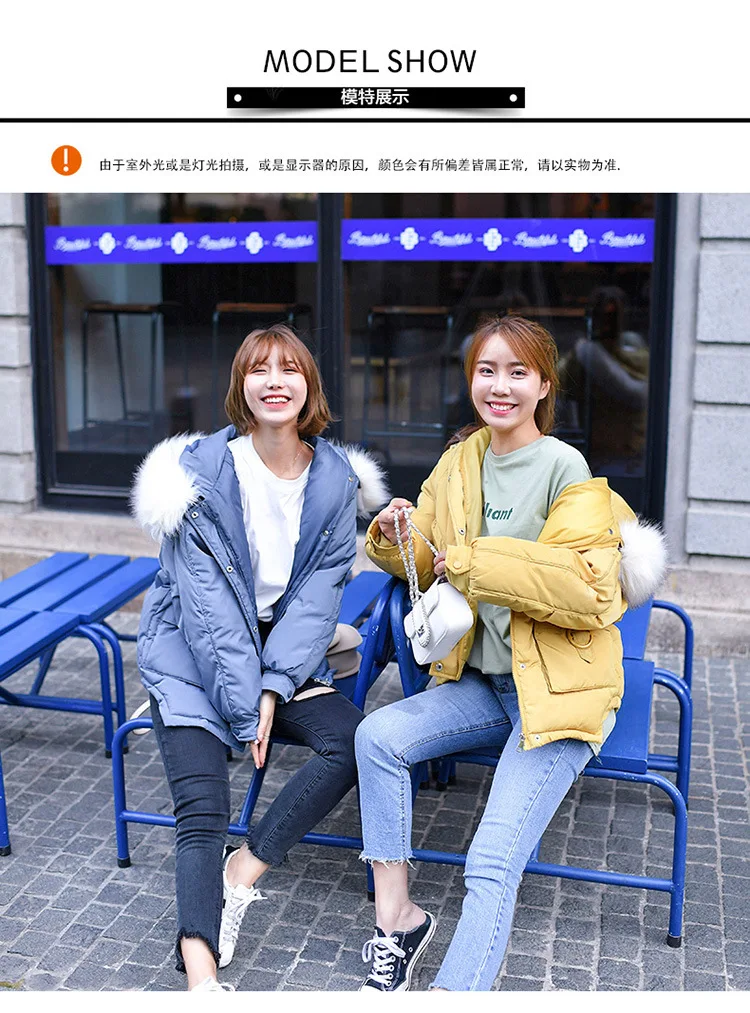 Пуховик с хлопковой подкладкой, одежда для женщин,, корейский стиль, Dongdaemun, короткий рост, для студентов, свободный крой, одежда с хлопковой подкладкой, Sho