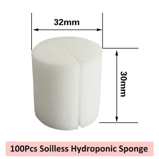 100PCS Sponge