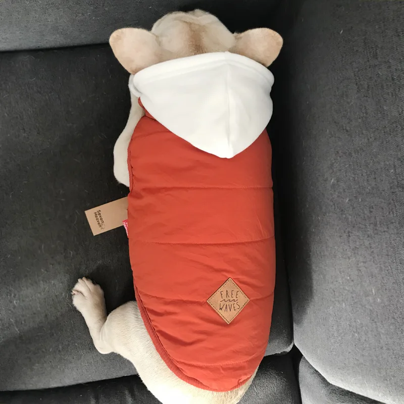 Orange Одежда для домашних животных осень и зима Британский короткий котенок Собака Тедди теплая одежда Собака Хлопок собаки Домашние животные одежда маленькая собака одежда - Цвет: Orange