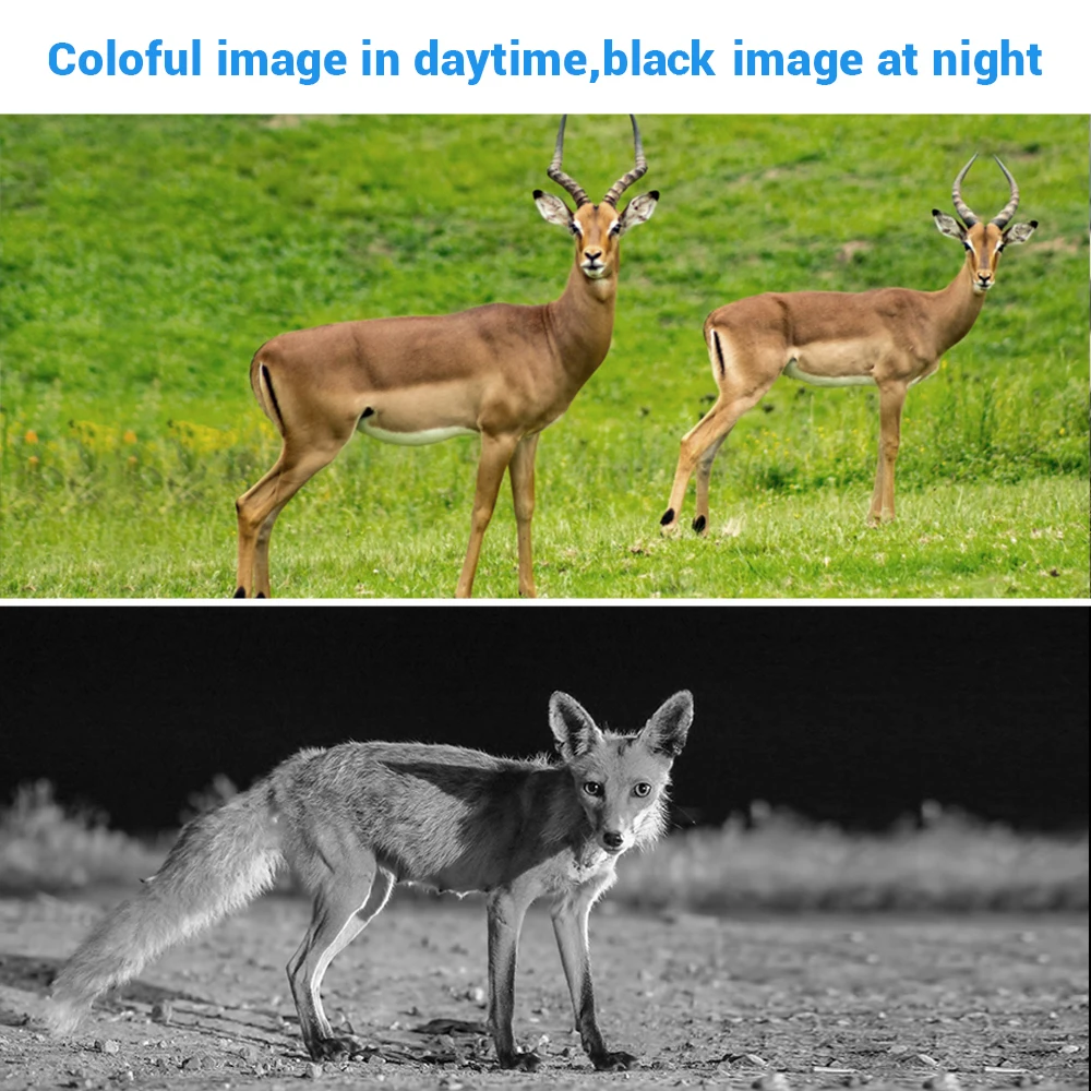 622e502a-cd45-1cc3-f0f5-ec9900e537a0