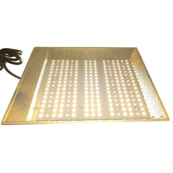

600W LED Grow Light Full Spectrum Plants Gg Lamp for Indoor Hydroponic Seeding Veg Bloom Greenhouse with US Plug