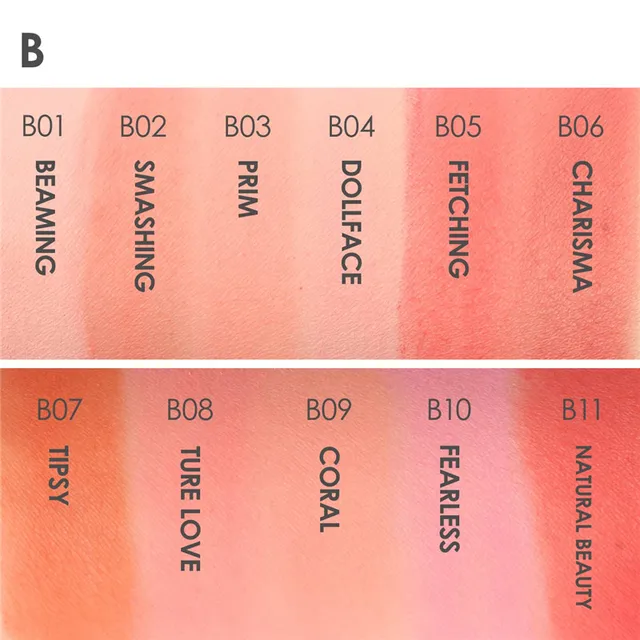 FOCALLURE 11 Colors Face Mineral Pigment Blusher Blush Powder Brozer Cosmestics Professional Palette Blush Contour Shadow