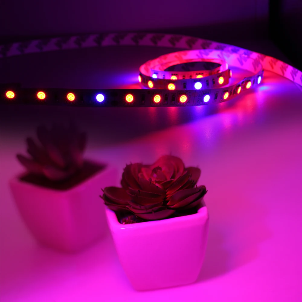  5M LED Grow Light Strip Full Spectrum UV Lamps for Plants Waterproof Phyto Tape with Adapter and Sw - 4000249805601