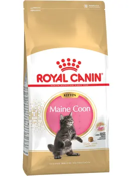 

ROYAL CANIN ROYAL CANIN MAINE COON KITTEN 36 Maine Coon kittens