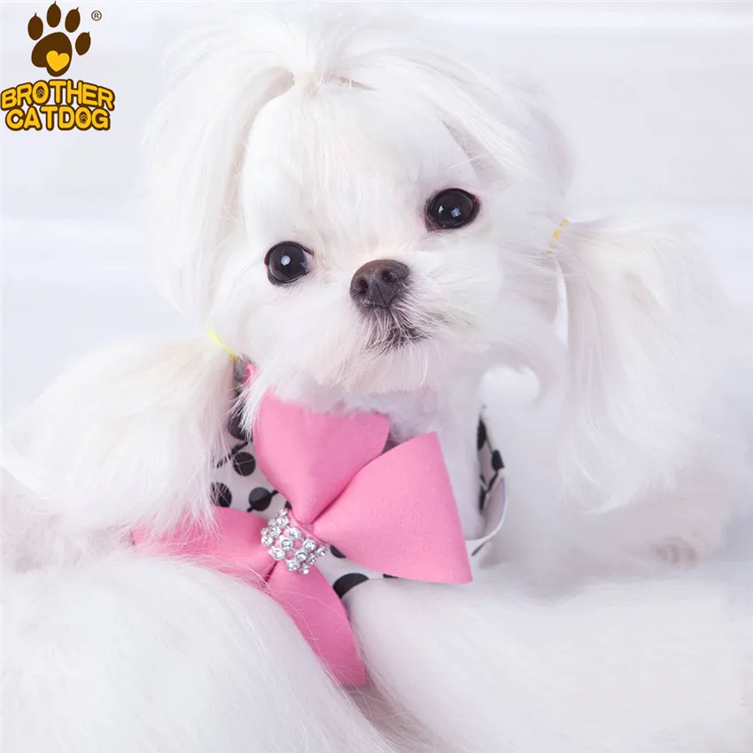 pink 8532 Поводок для собак, щенков, чихуахуа, Йоркских кошек, мягкая замша, кожа, маленькая милая шлейка с поводком, жилет, бант, магазин товаров - Цвет: pink 8532