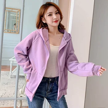 

Women Sweatshirt 2019 Fashion Zipper Long Sleeve Hooded Tops Velvet Loose Casual Joker Tops Pockets Sweatshirt MM