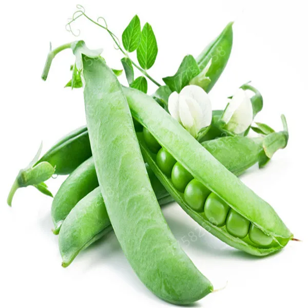 

10 Pcs Dutch beans vegetable plant peas green healthy vegetables potted home garden planting free shipping