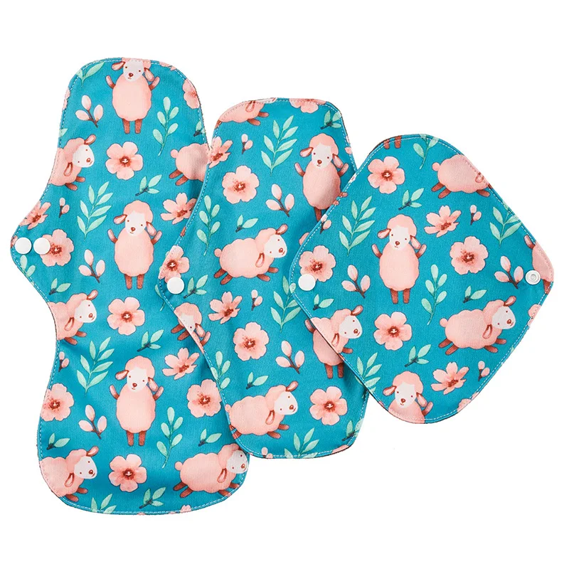 18259806715_2025671122