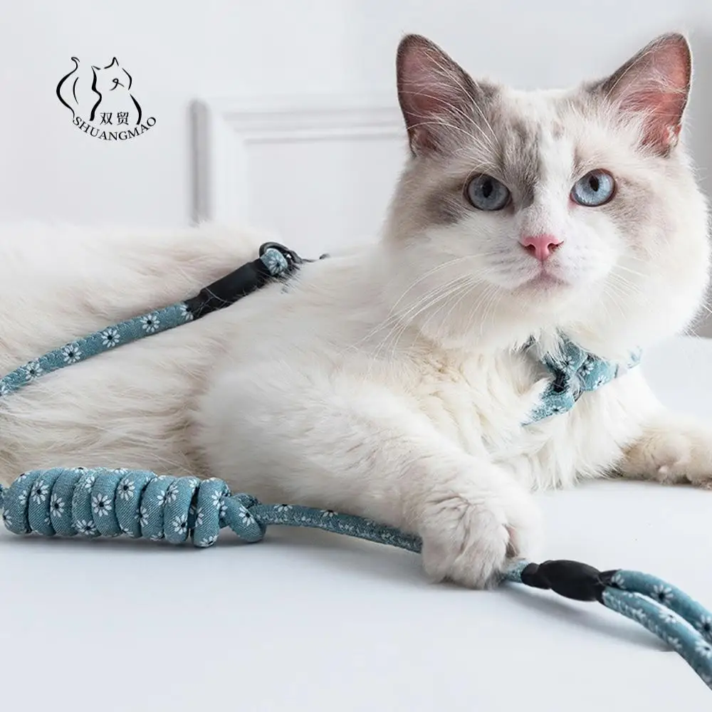 cat chain collar