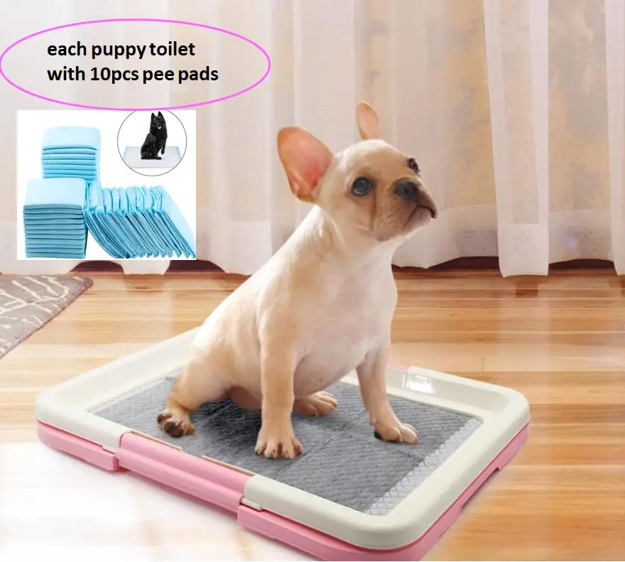 small dog potty box