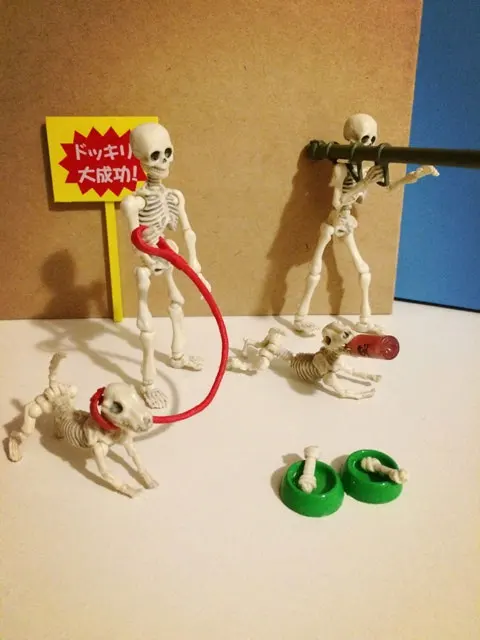 未标题-37