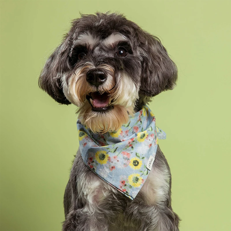 daisy bandana