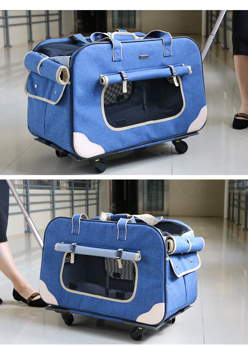 H8768dd9c7c4e4c4d9c306799d6b6ef0dy