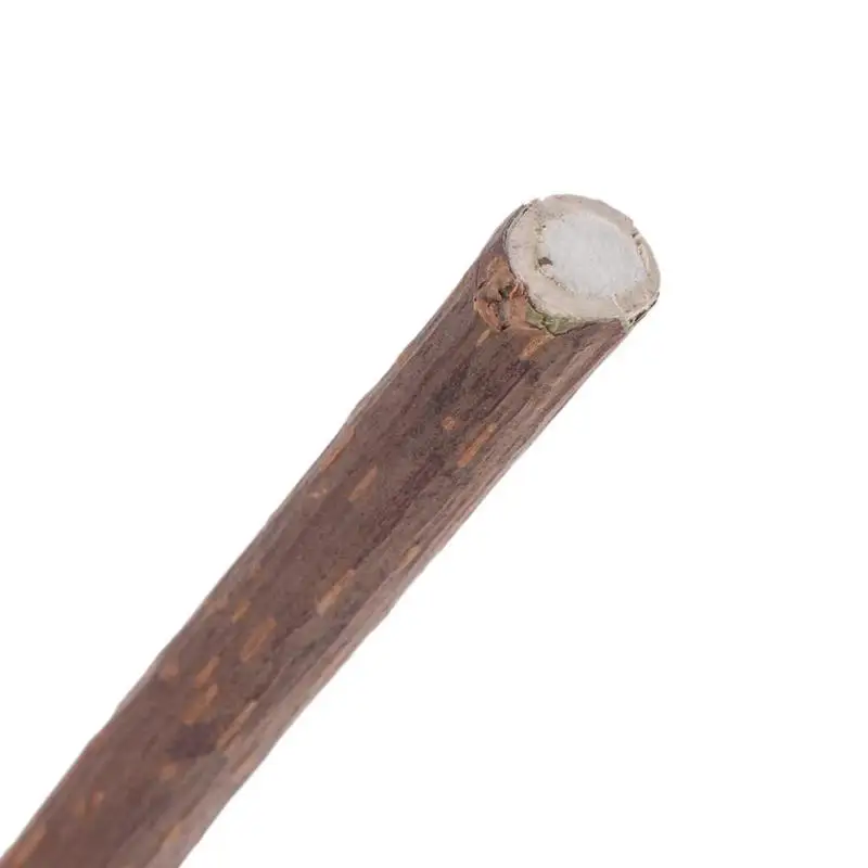 Кошачьи чистящие зубные молярные палочки Silvervine Actinidia зубная паста кошачьи закуски