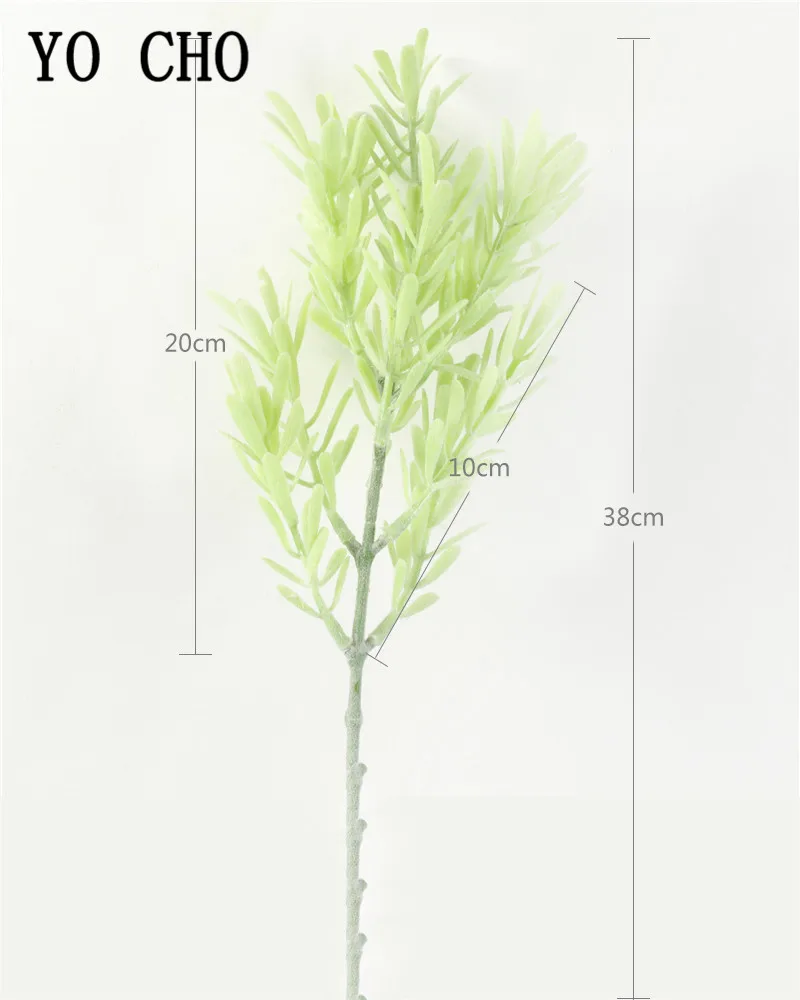 小号鱼腥草