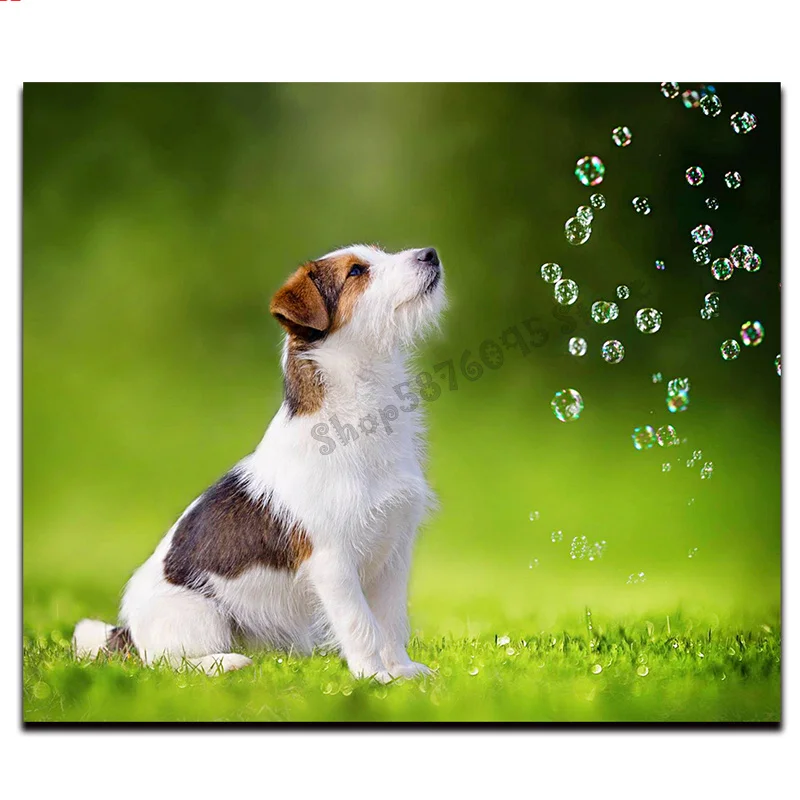 Full Square Round Drill Jack Russell Terrier 5D DIY Diamond Painting Embroidery Cross Stitch Animal realistic dog art TT3888 | Дом и сад