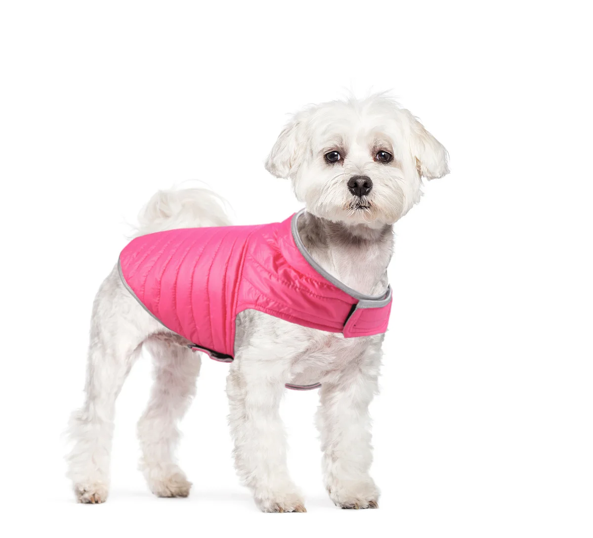Double-Sided Waterproof Puppy Jacket Winter Pet Dog Warm Clothes Vest Coat For Medium Dogs Reflective Clothing Pet Outfit XS-XXL Double-Sided Waterproof Puppy Jacket Winter Pet Dog Warm Clothes Vest Coat For Medium Dogs Reflective Clothing Pet Outfit XS-XXL