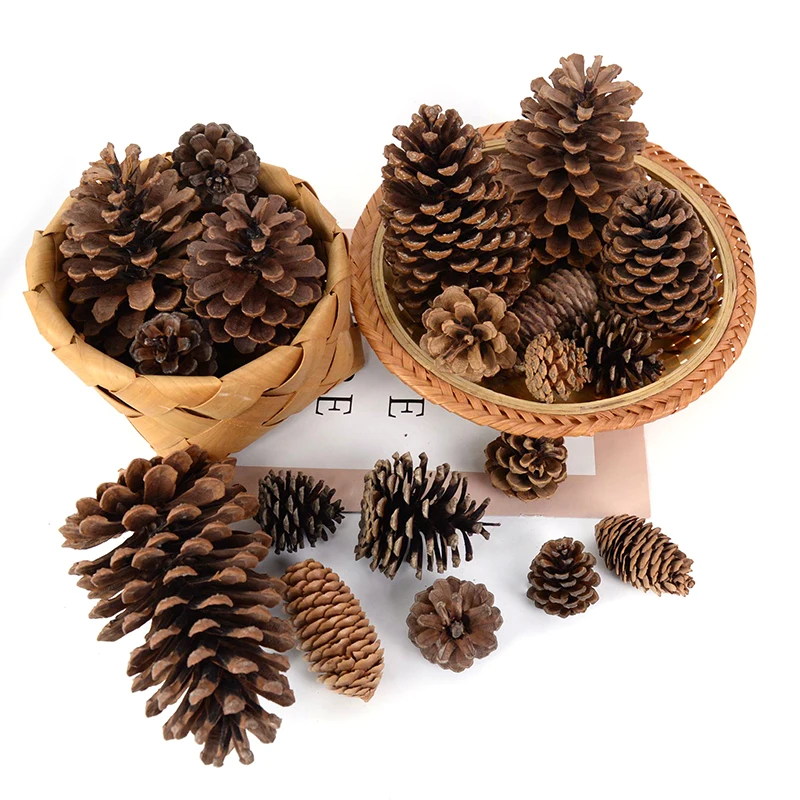 1-10pcs Natural Pine Nuts Fruit Dried Artificial Flower Pineapple Cones for Christmas DIY Garland Wreath Wedding Home Decoration