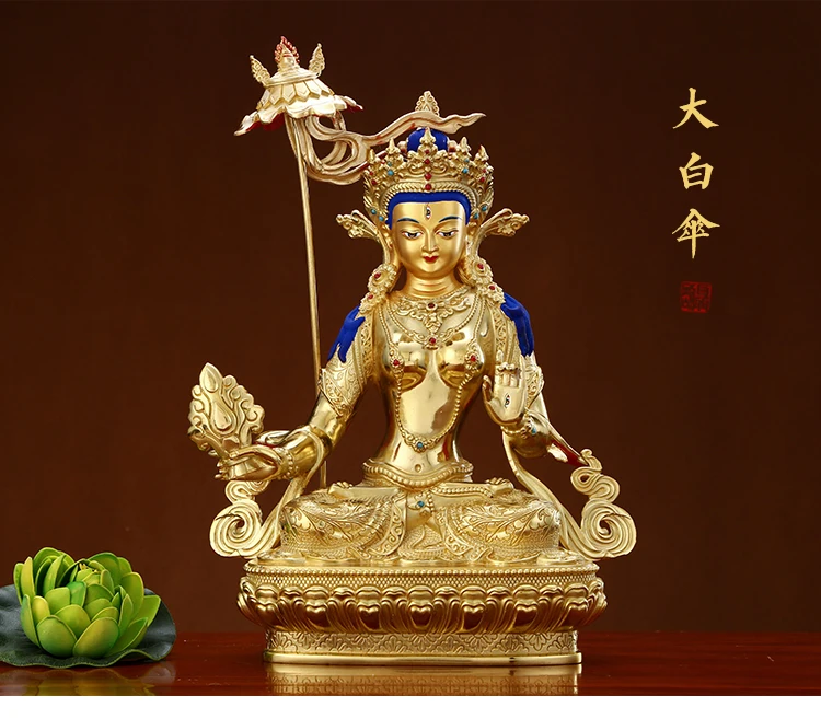 245453 - 副本