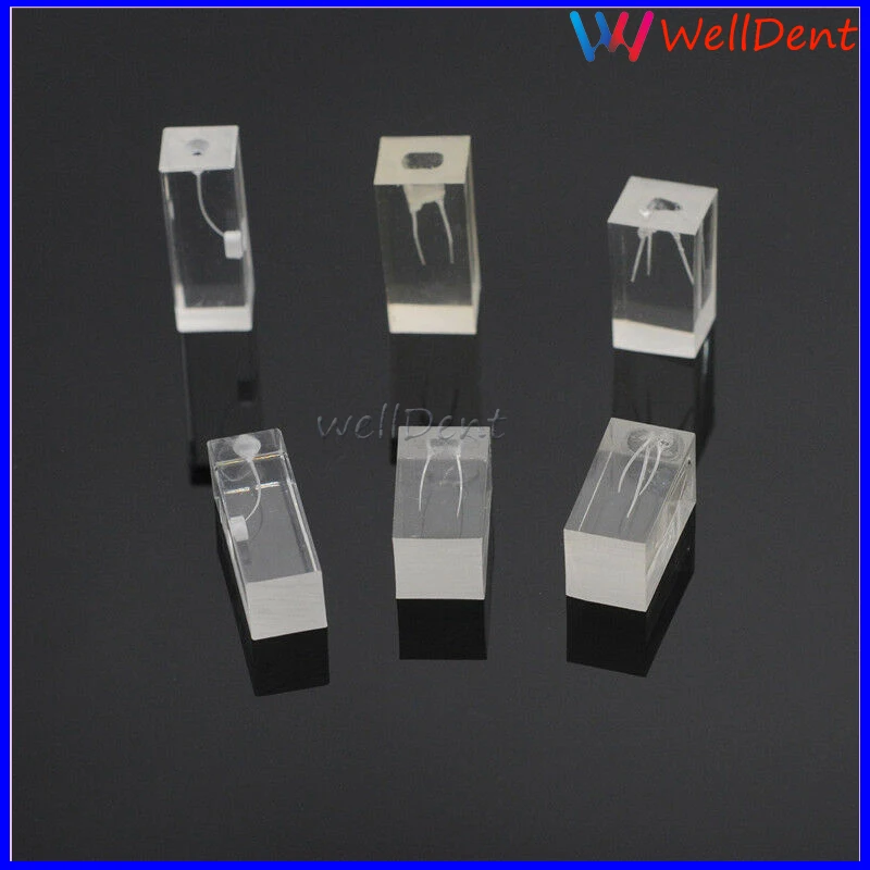 Dental-School-Resin-Endodontic-Student-Study-Teaching-Practice
