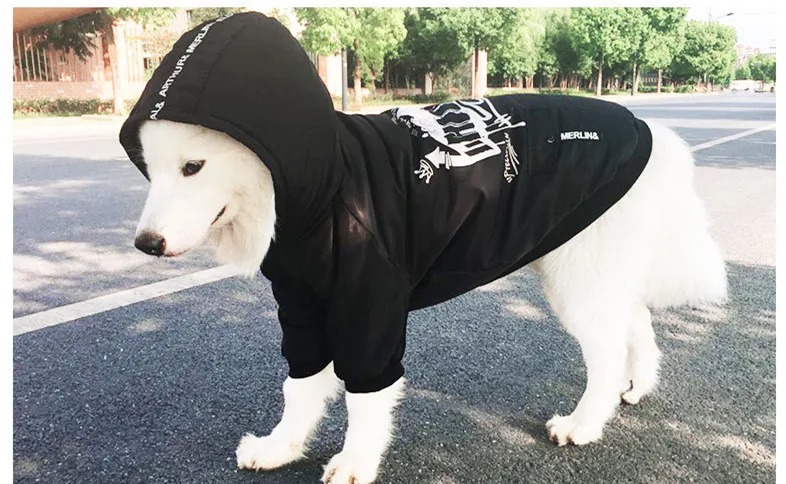 10478346475_1202722020_副本