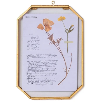 

Wall-Mounted Octagonal Herb Museum Brass Glass Frame for Embossing,Dried Flowers,Posters,Floating Frame,Glass Frame Only
