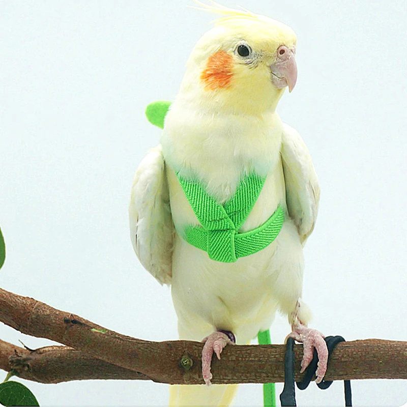 Petite Adjustable Parrot Harness Fly Cloth Bird Diaper Nappy with Lanyard Harness Flightline 