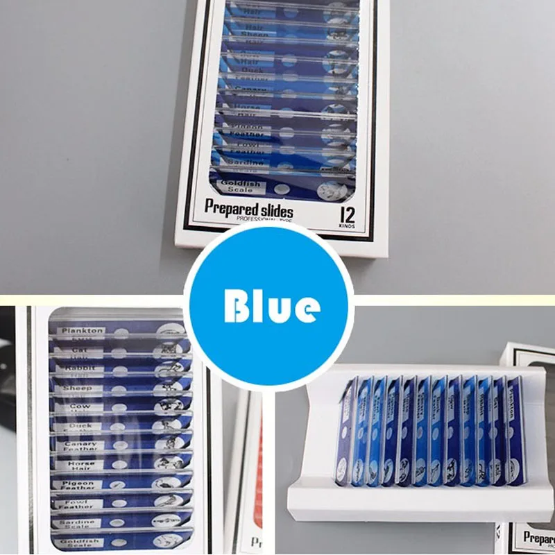 12pcs/box Science Plastic Sample Children Biological Kids Microscope Prepared Slides