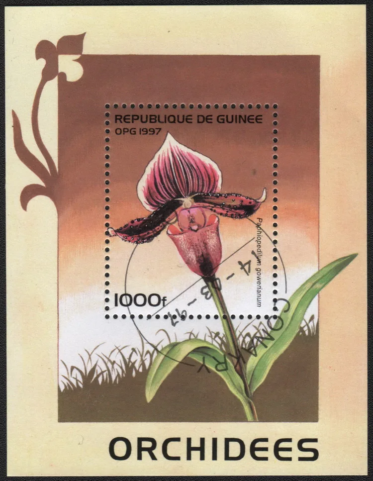 

1Sheet Guinea Post Stamps 1997 Orchid Marked Postage Souvenir Sheet Stamps for Collecting
