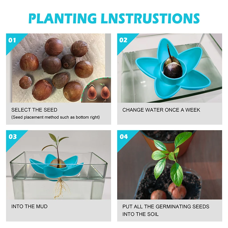 Planting Bowl Plant Indoor Kitchen Garden Gift Practical Gardening Avocado Tree Growing Kit Avocado Festivel Gifts Box