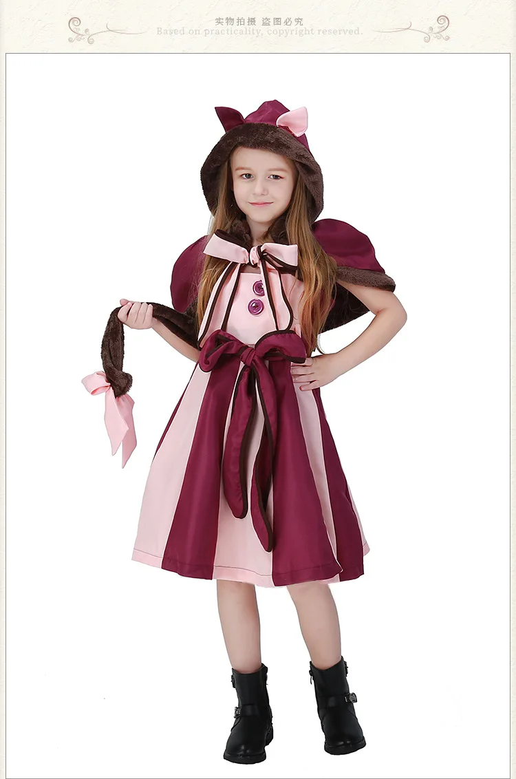 4553499062_1734513592