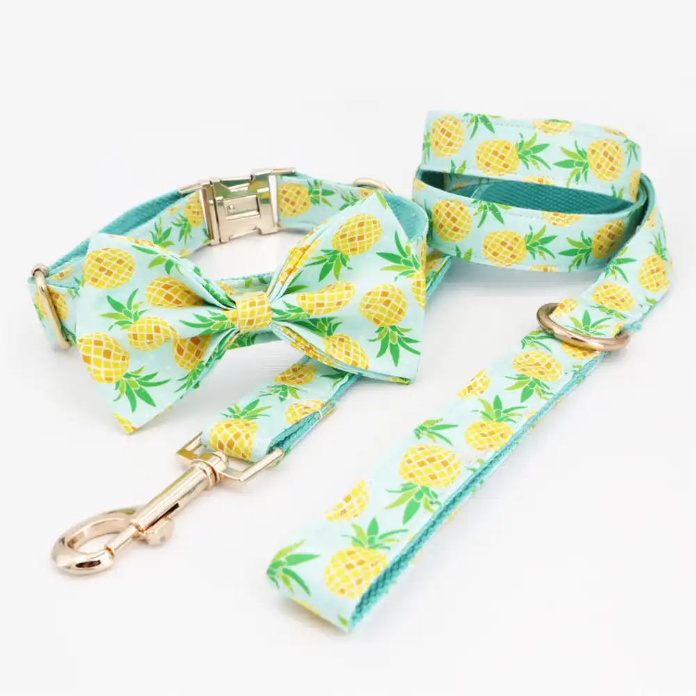 Pineapple dog collar Clearance