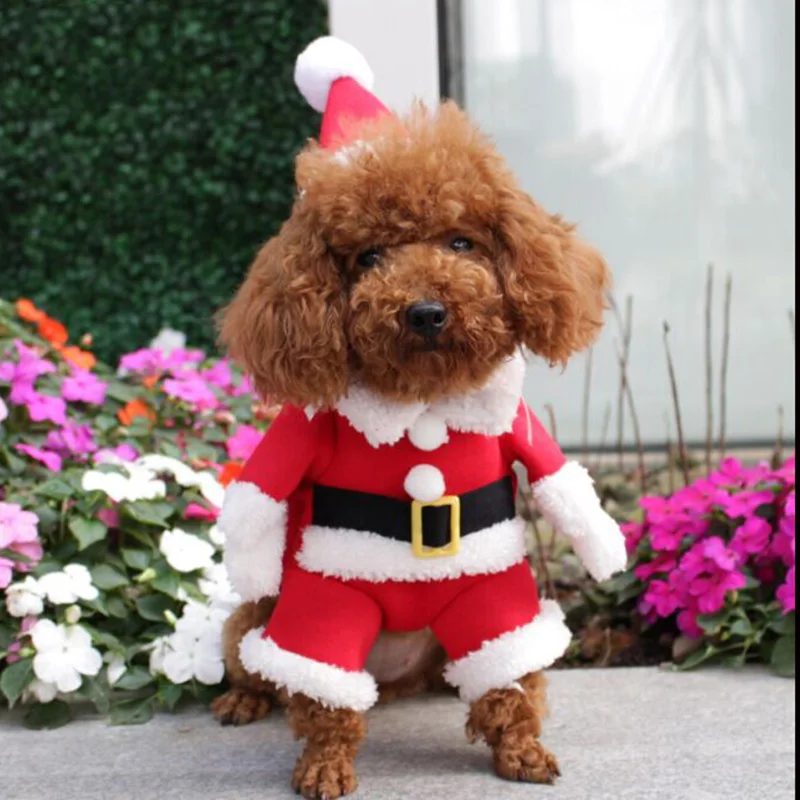 Christmas-Pet-Dog-Cat-Costumes-Funny-Santa-Claus-Costume-For-Dogs-Cats-Winter-Warm-Dog-Clothes (1)