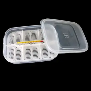 

New 12 Holes Reptile Egg Incubation Tray With Thermometer Incubating Gecko Lizard Snake Eggs Incubation Tool