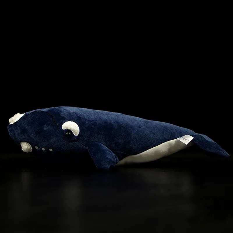 O1CN013qAIHc1DnZy5p0p2O_!!22080261