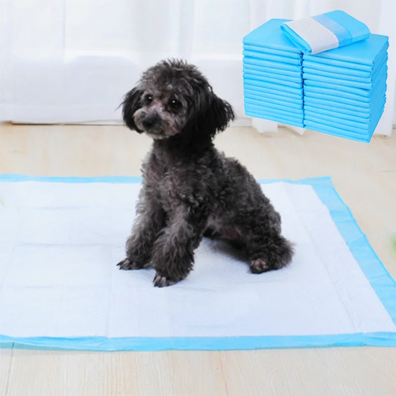 

100pcs Pet Training Diaper Super Absorbent Urinal Pad Diaper Antibacterial Puppy Diaper Pet Cleaning Supplies Pet Toilet Mat