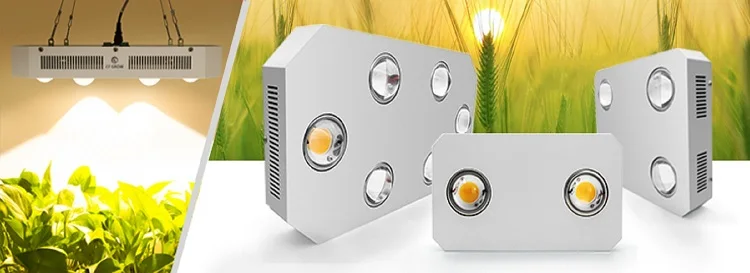 haibao phone