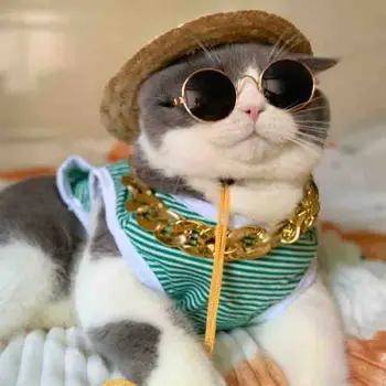

3pcs Lovely Pet Cat Glasses Dog Glasses Pet Products Kitty Toy Dog Sunglasses Photos Pet Accessoires Round Colorful