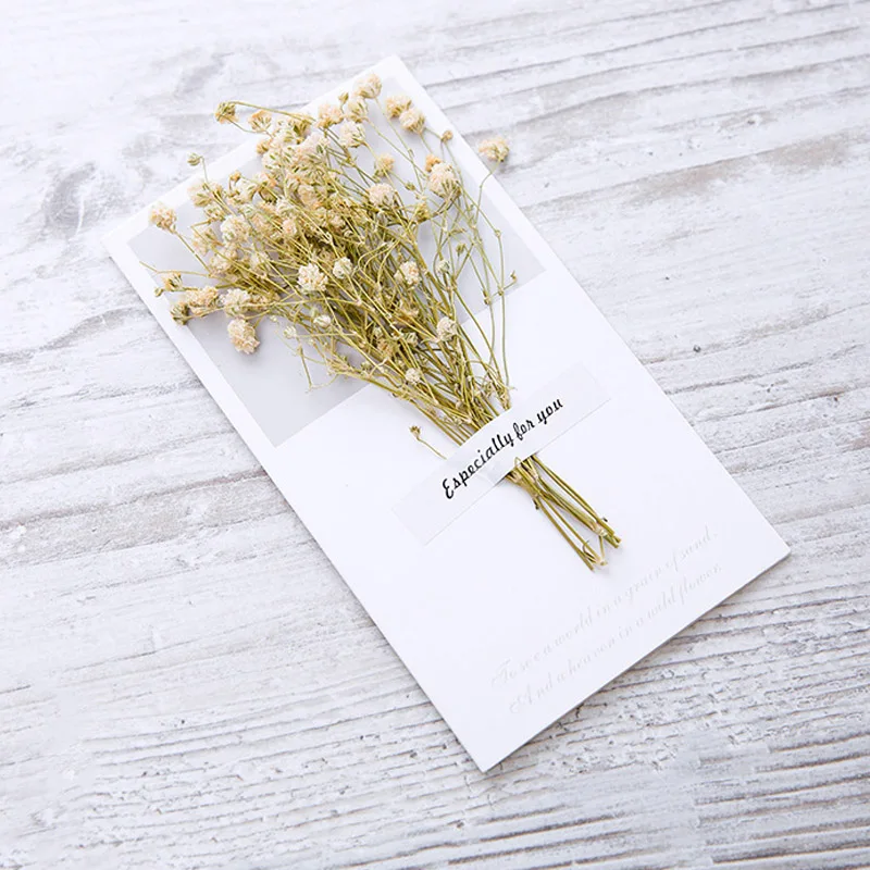 Gypsophila white 10 шт. Гипсофилы сушеные цветы рукописные поздравительная открытка подарок на день рождения открытка свадебные приглашения - Цвет: Gypsophila white