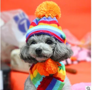 Rainbow Новая одежда для домашних животных зимняя теплая трехсекционная шляпа налокотник протектор шарф мишка Тедди Осенние и зимние аксессуары для животных принадлежности - Цвет: Rainbow