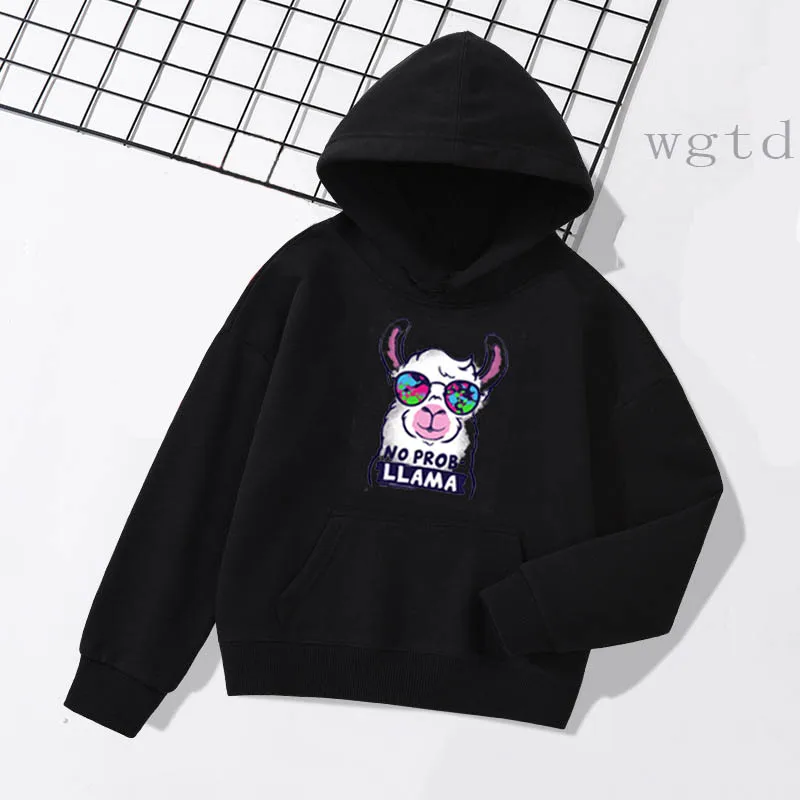 Hoodies 2 Популярные толстовки с капюшоном с изображением животных для мальчиков и девочек, толстовки Harajuku для малышей, осенне-зимние теплые толстовки с капюшоном для девочек, детские хлопковые толстовки - Цвет: Hoodies 2