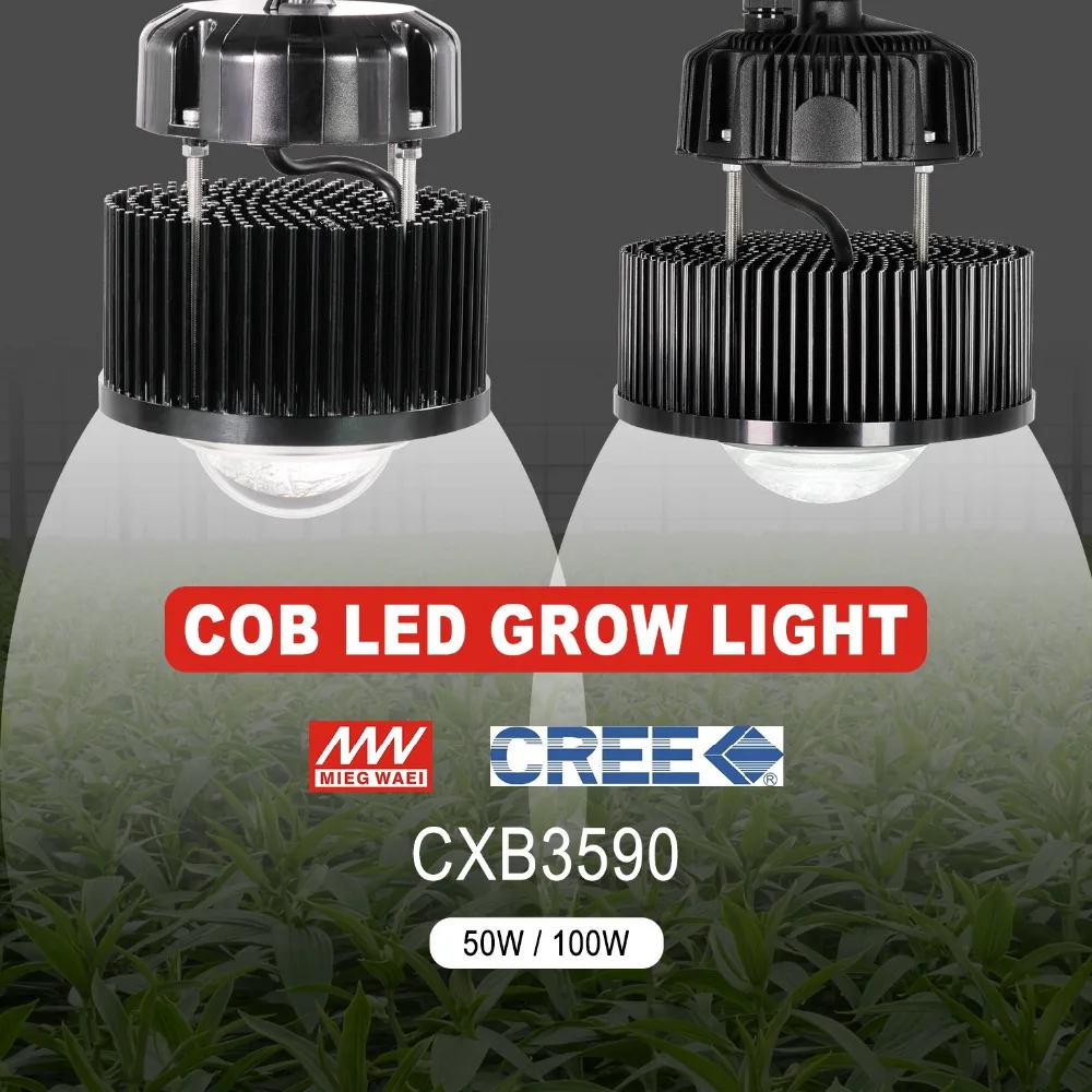 50W_100W 副本
