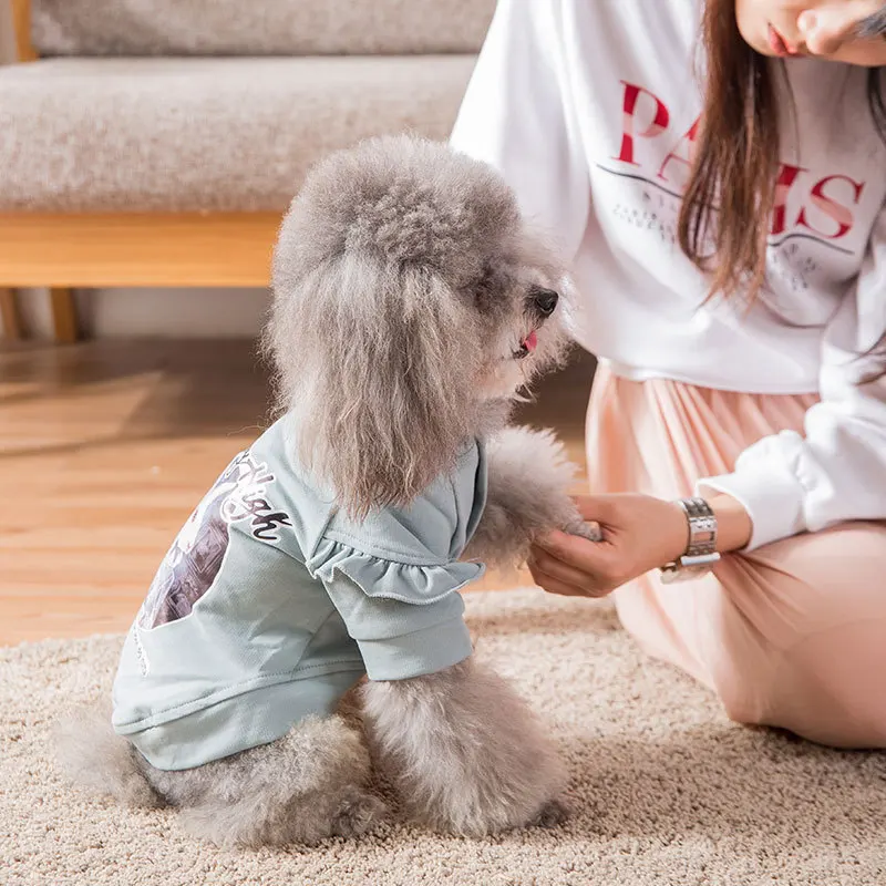 Spring and Autumn Leisure Styles Pet Dog Clothing Fashion Can Be Comfortable Breathable The Two Feet Garments Small Dog Clothing