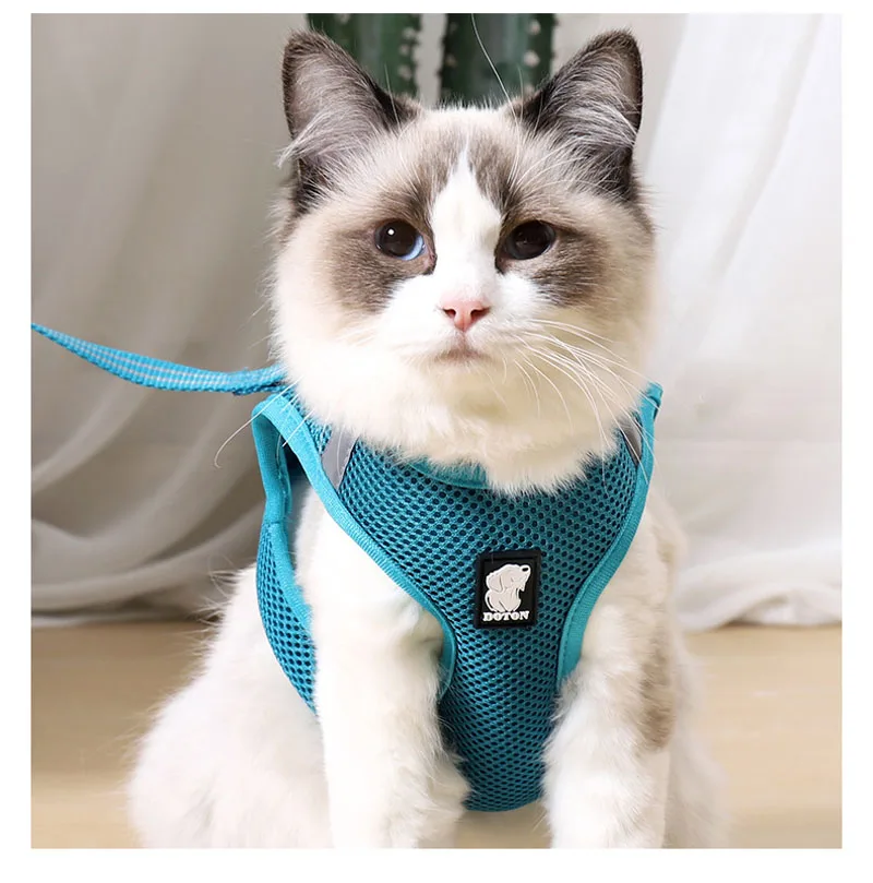 harness for cat