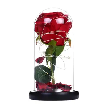 

Creative Night Lights Decoration Multi-function 20LED Lights Rose Flower in Glass Dome Copper Wire Lamp for Valentine Gift