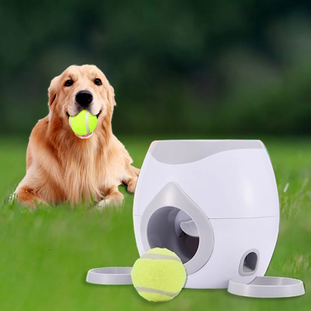 Automatic Pet Feeder Interactive Fetch Tennis Ball Launcher Dog Training Toys Interactive Throwing Ball Machine Pet Accessories Dog Toys Aliexpress